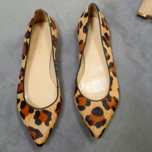 Cheetah leather Talbots 10.5 shoes
